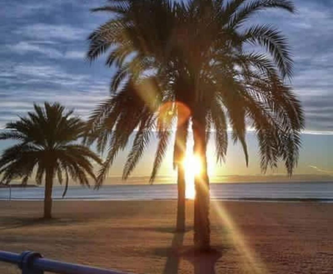 My House Alacant